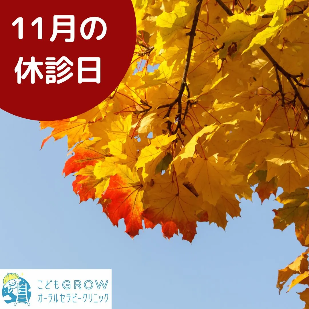 11月の休診日のお知らせ