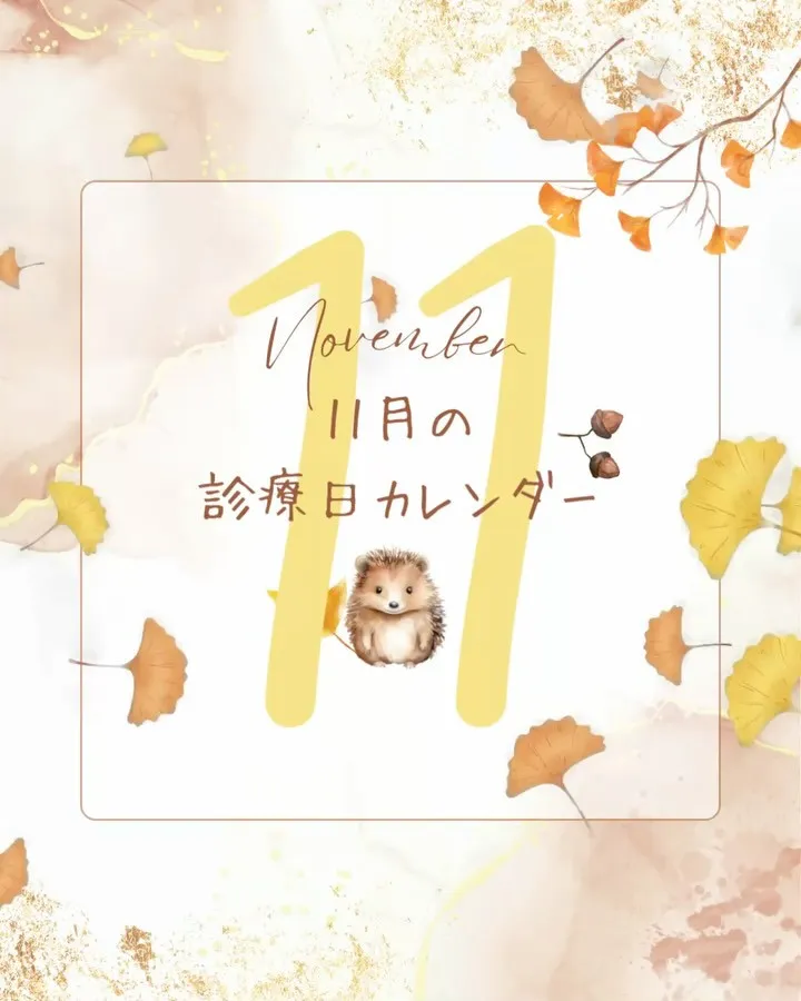 11月、診療日のご案内🍁